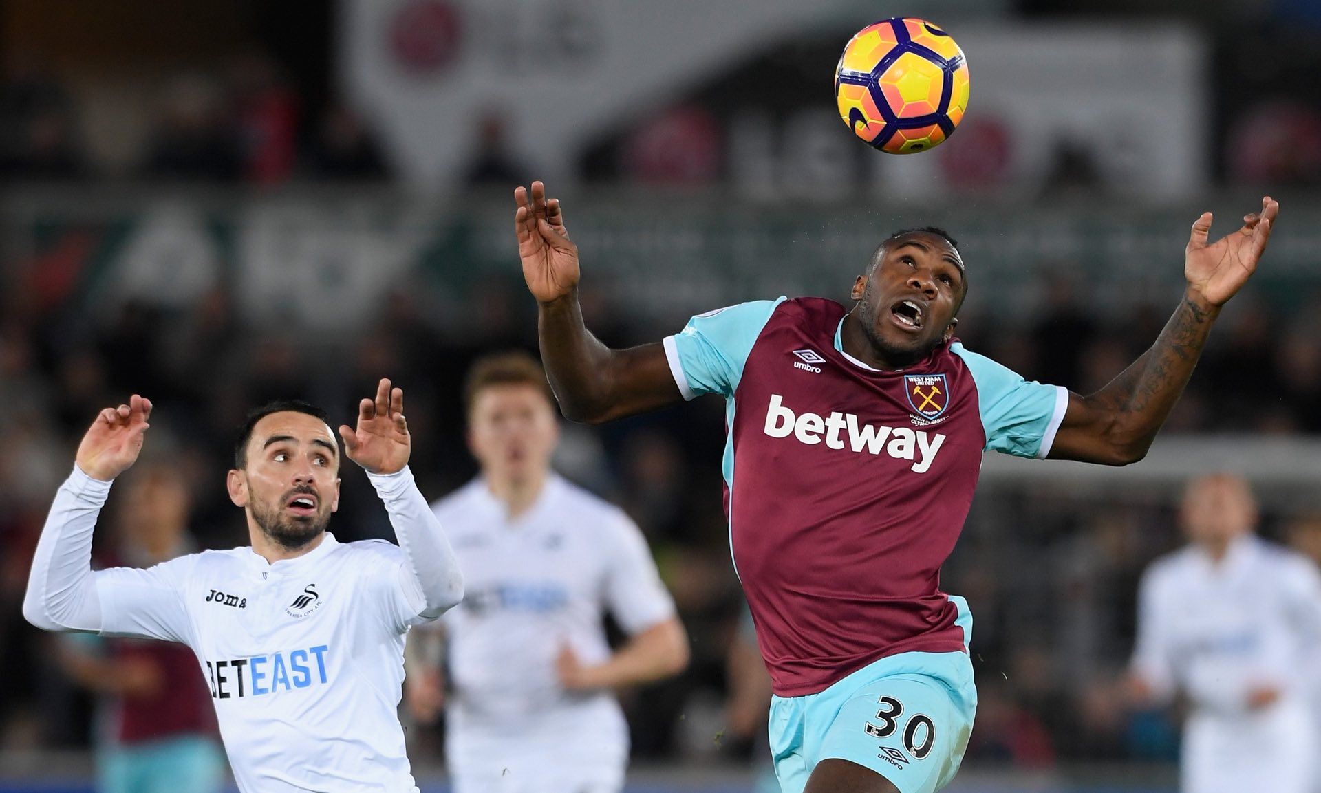 和莱比锡红 和莱比锡红